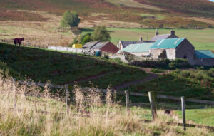 Farmhouse in Northumberland, North East England. UK.