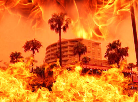 daily squib oz holiday giveaway POLITICAL SATIRE