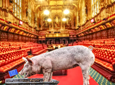 house of lords corrupt unelected POLITICAL SATIRE