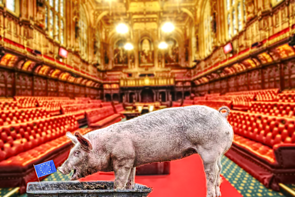 house of lords corrupt unelected POLITICAL SATIRE