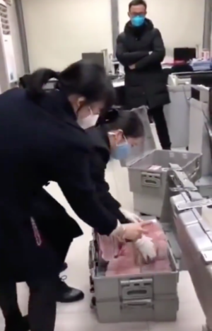 Screenshot 2020-02-05 at 00.16.19