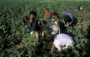 child labour george clooney