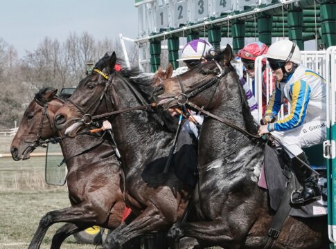horse racing cheltenham festival
