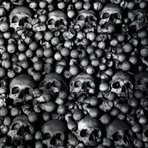 cui bono? bones coronavirus