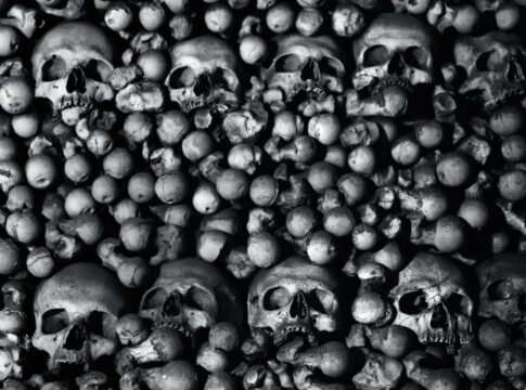 cui bono? bones coronavirus