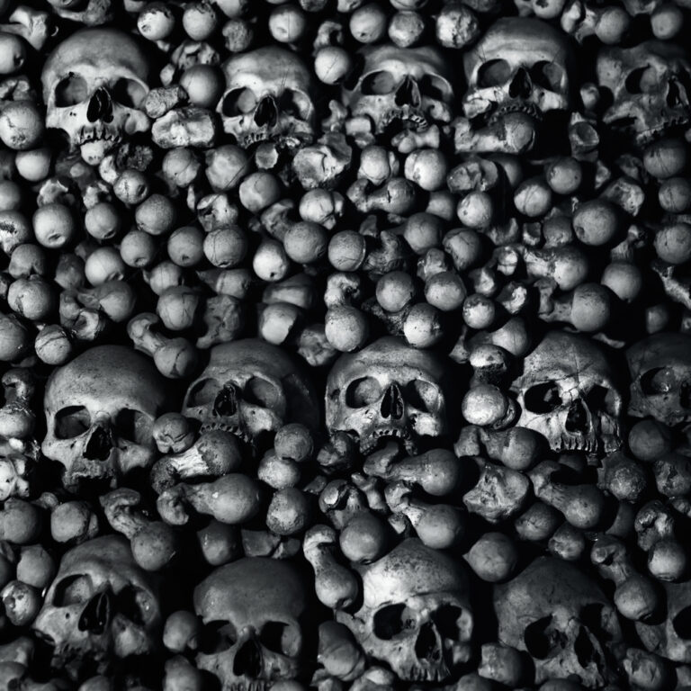 Coronavirus – Cui Bono – Who Benefits?