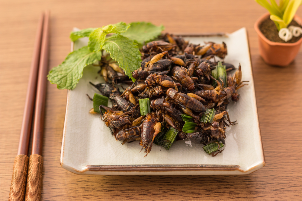 Fried insects