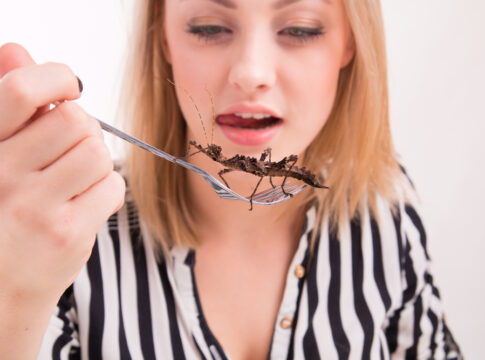 Woman eating insects food costs war on farmers