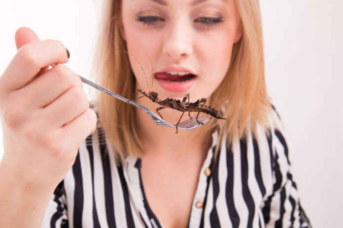 Woman eating insects food costs war on farmers