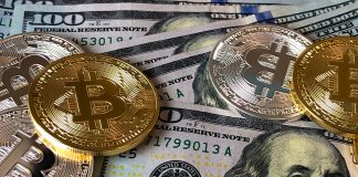 bitcoins-and-u-s-dollar-bills-730547