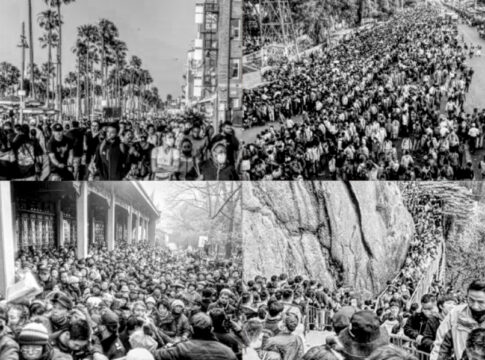 swarms post-lockdown