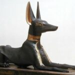 greyhound ancient egypt