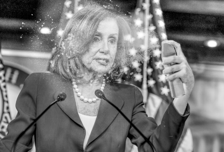 Nancy Pelosi Stocking Up on Bug Spray