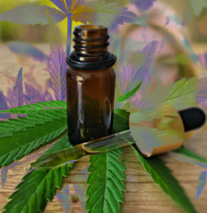 cbd oil