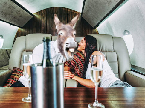 Prince harry and meghan markle