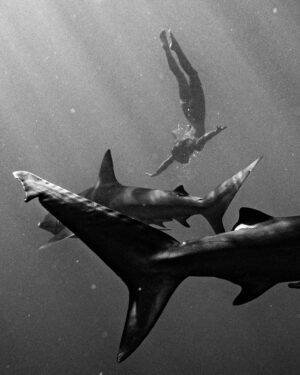 Interview With Artist, Activist, Naturalist, Marisa Papen - Daily Squib