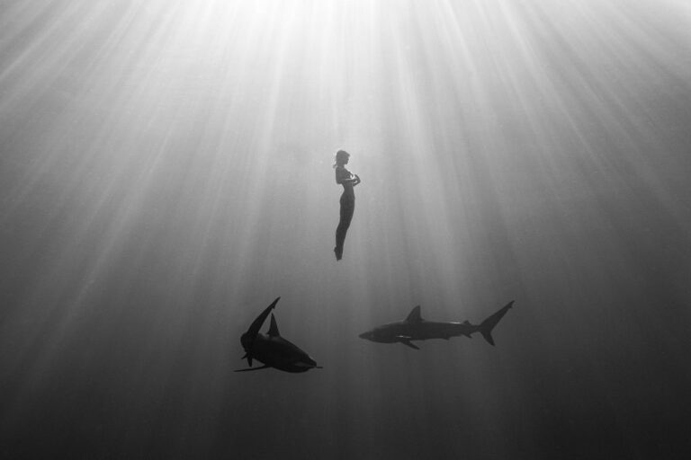 Interview With Artist, Activist, Naturalist, Marisa Papen