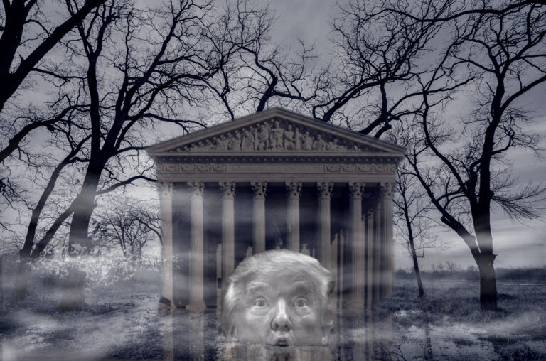 The Swamp Takes Trump