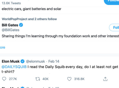 elon musk tweet squib