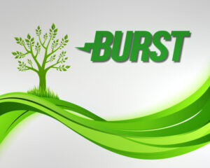 BURSTCOIN