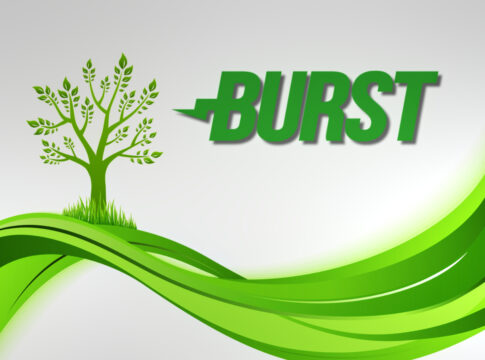 BURSTCOIN
