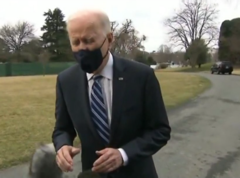 biden chromakey green screen