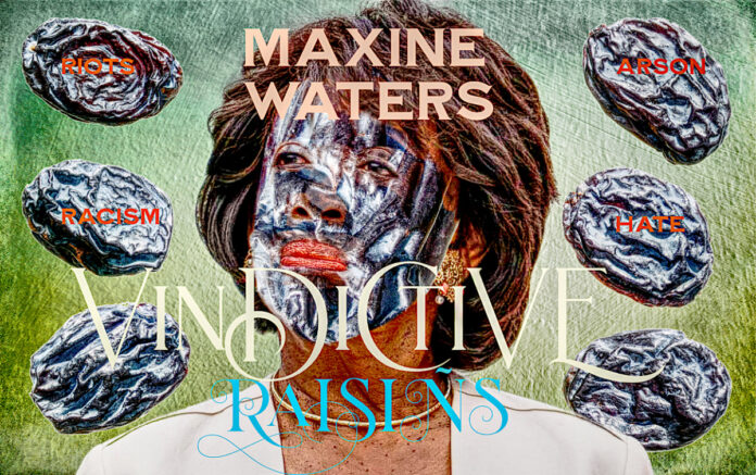 maxine-waters-vindictive-raisins