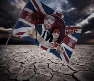 harry and meghan flag ruin the royal family
