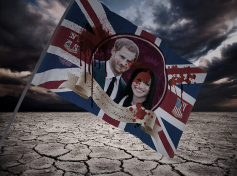 harry and meghan flag ruin the royal family