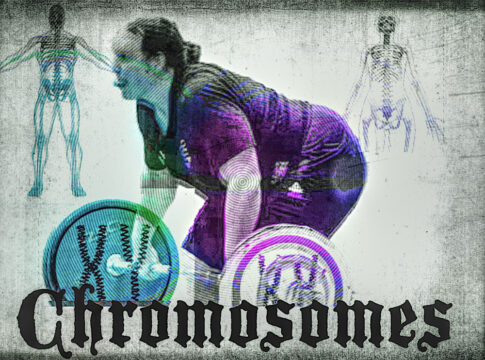 olympics weightlifter transgender