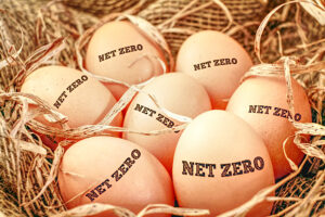 net zero