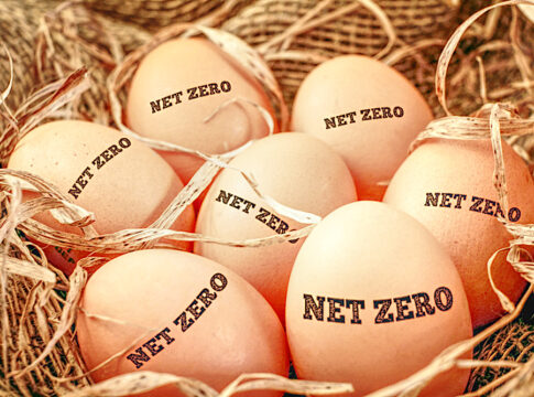 net zero