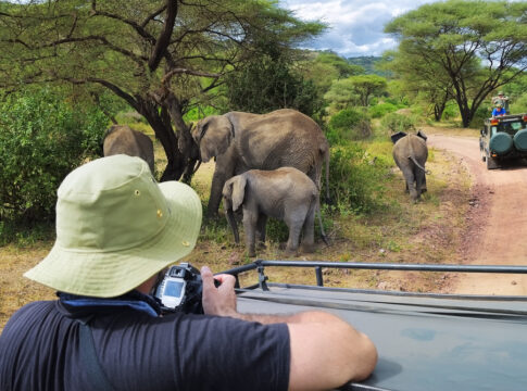 Rwanda safari economic migrants