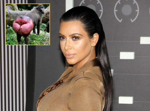 kardashian baboon buttocks