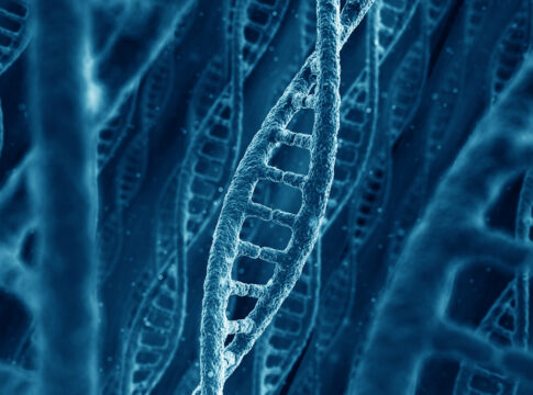 DNA strands nanomotor