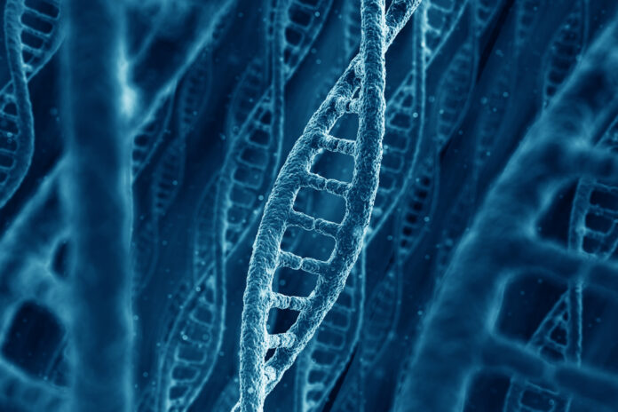 DNA strands nanomotor