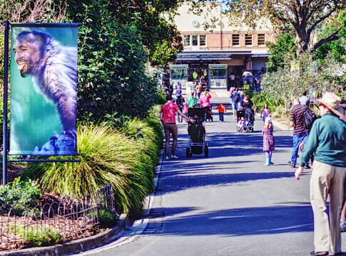 Nick Kyrgios ape house london zoo
