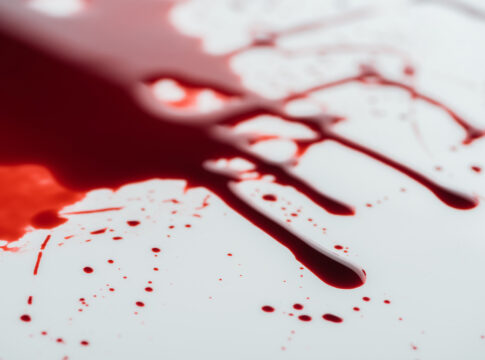 Blood salman rushdie