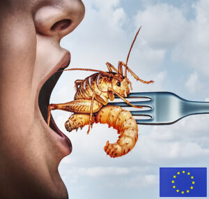 Eat Insects