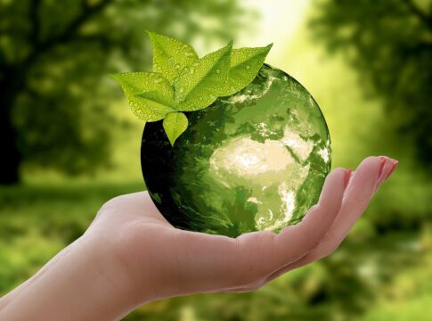 Sustainable Earth