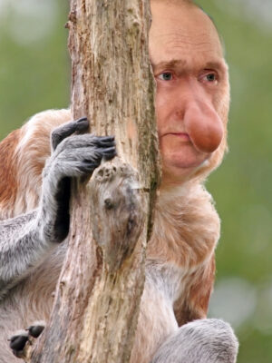 vladimir putin proboscis monkey