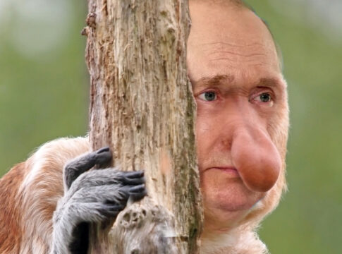 vladimir putin proboscis monkey