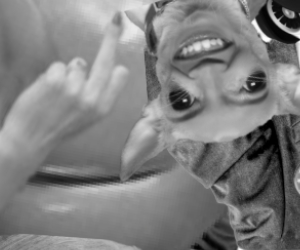 daily squib anthology