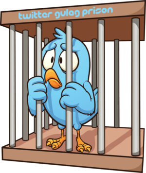 twitter gulag prison