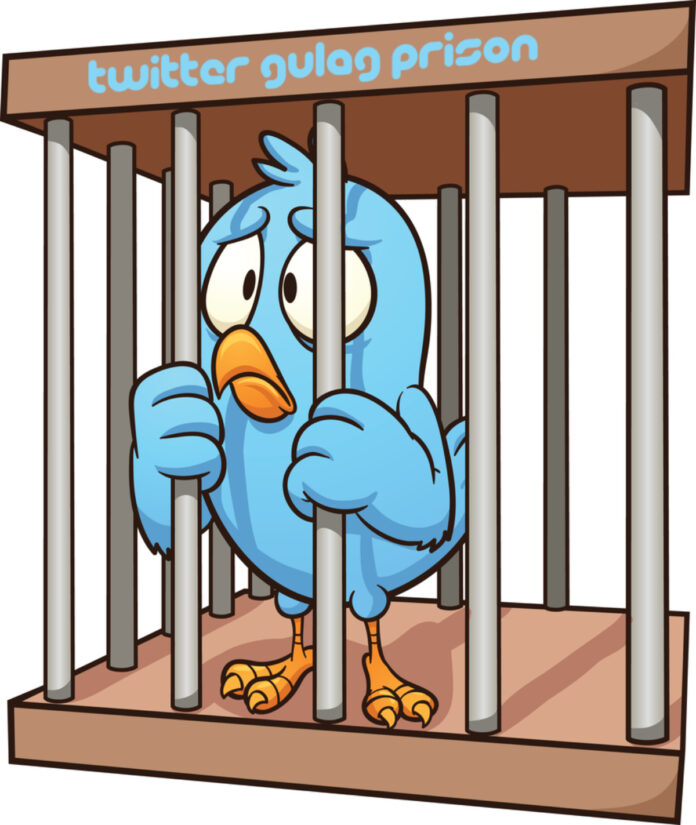 twitter gulag prison