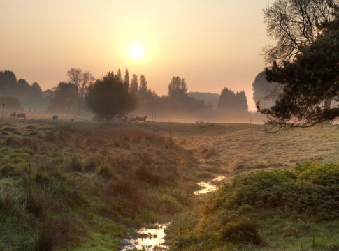 Misty morning in the English countryside eco and green groups