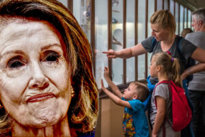 nancy pelosi