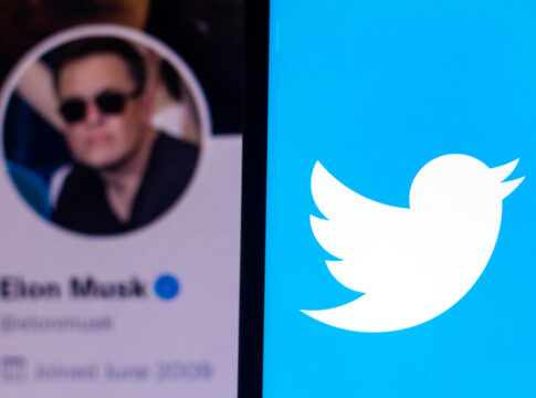 Elon musk twitter bots