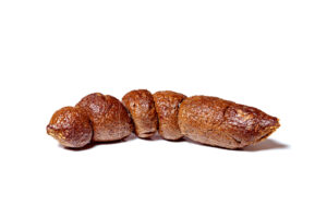 piece of shit instagram