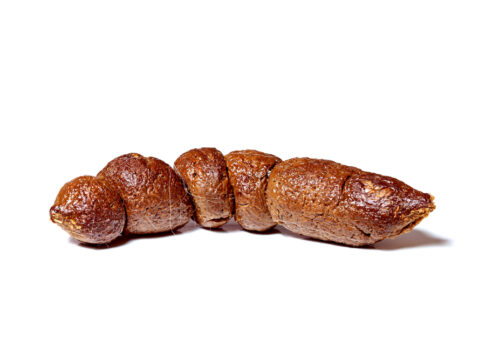 piece of shit instagram